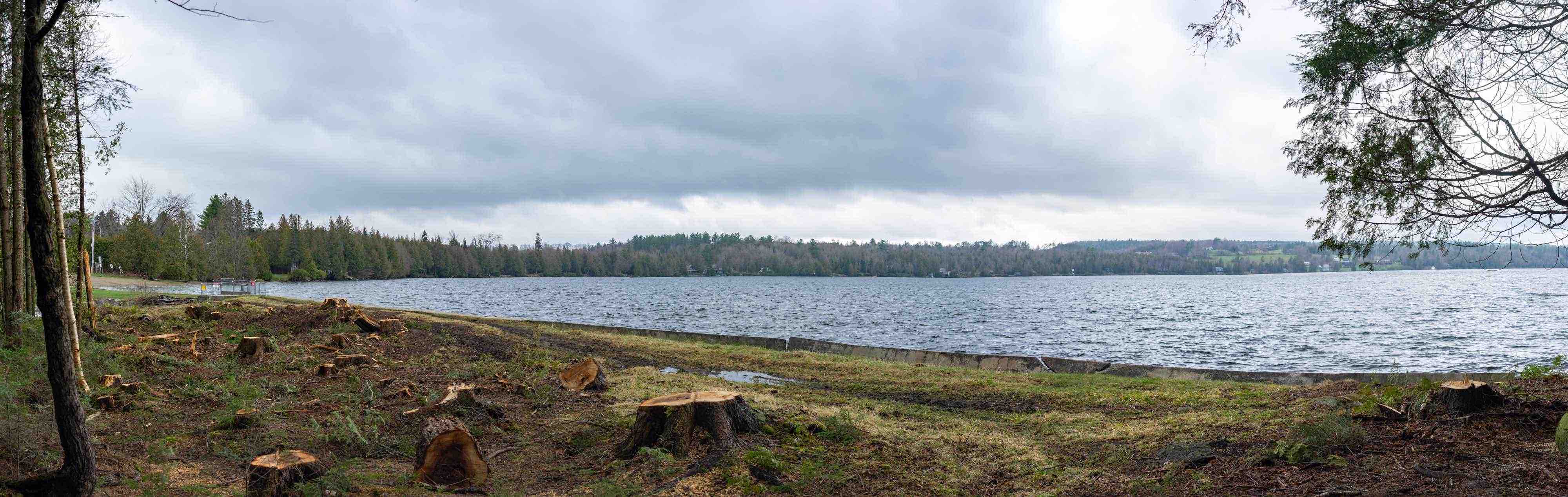 2_1_2020---Spring---Caspian-Town-Beach-Trees-Cut_2.jpg